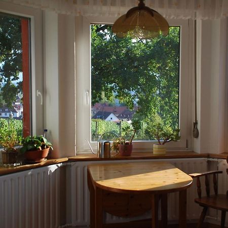 Rotes Haus Ueber Den Weinbergen Apartment Konstanz Bagian luar foto